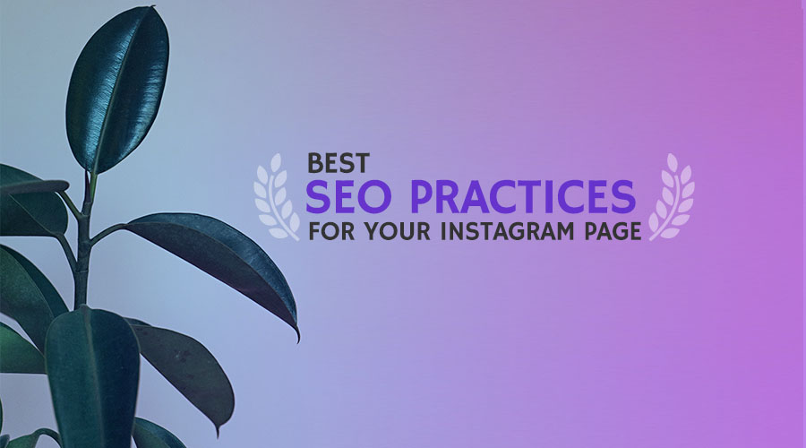 Best SEO Practices for Your Instagram Page