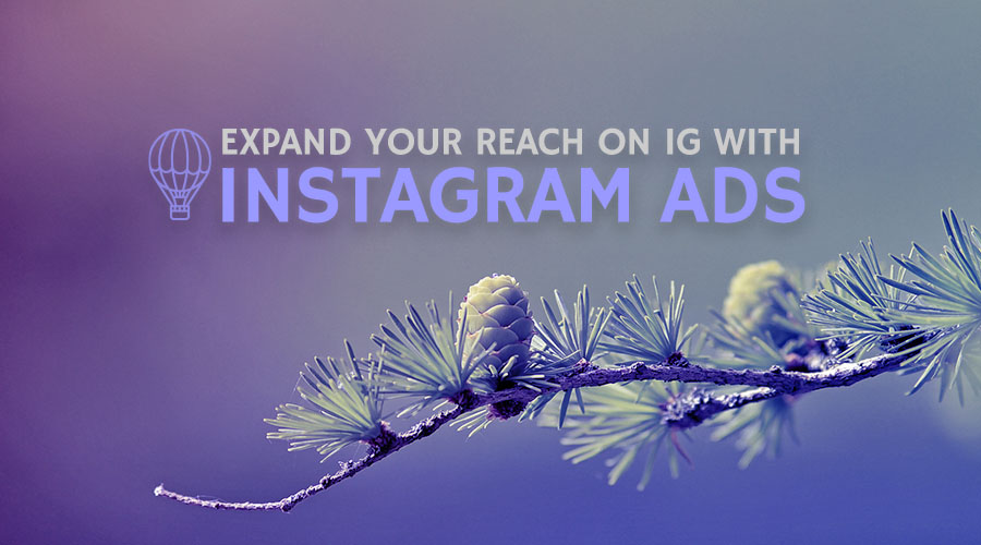 Expand Your Brand's Reach With Instagram Ads