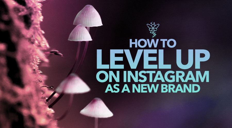 How to Level-Up on Instagram as a New Brand
