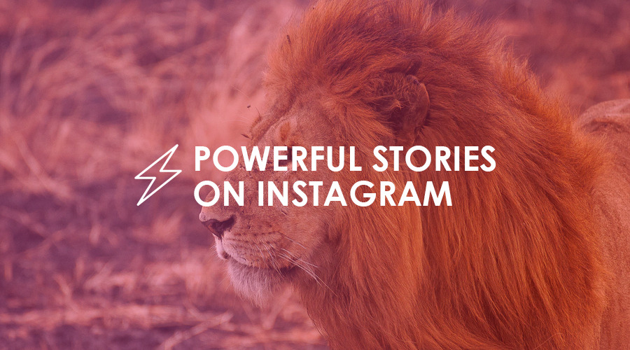 How to Tell Powerful Stories On Instagram to Get More Sales