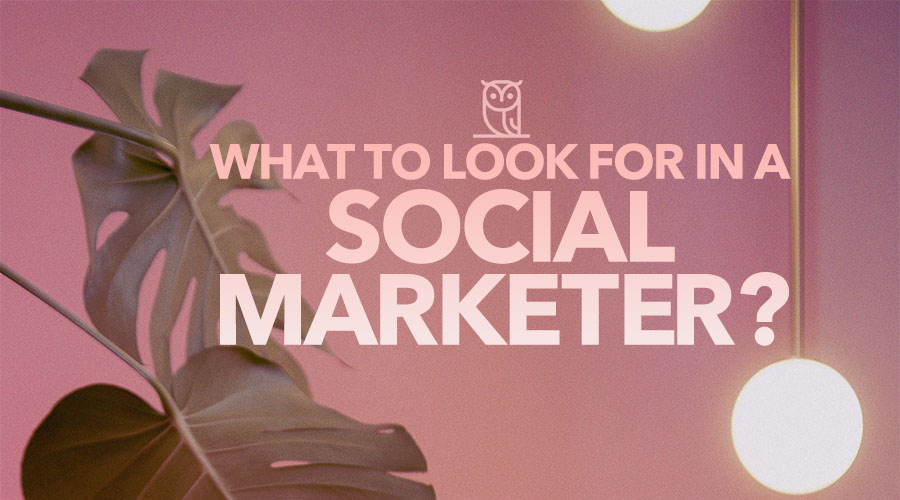 What to Look for in a Social Marketer?