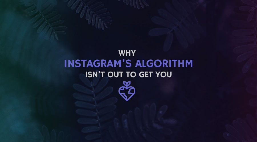 Why the Instagram Algorithm Isn't Out to Get You