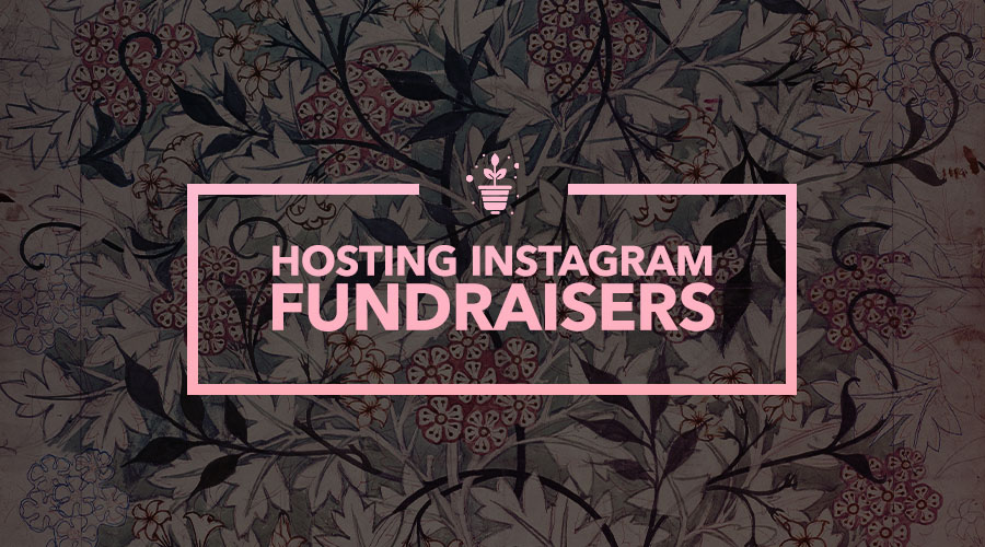 Your Guide to Hosting Fundraisers on Instagram